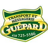 Transport et messagerie guépard
